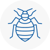 Bed Bug Extermination In Colindale