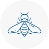 Bee Nest Removal Colindale
