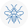 Colindale Hornet Nest Removals