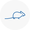 Mice Exterminators In Colindale