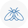 Moth Control Specialists In Colindale