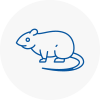 Rat Control Colindale