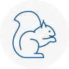 Colindale Rodent Removals